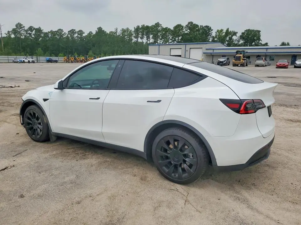 2020 TESLA MODEL Y   