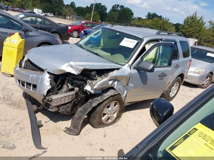 2010 FORD ESCAPE XLT