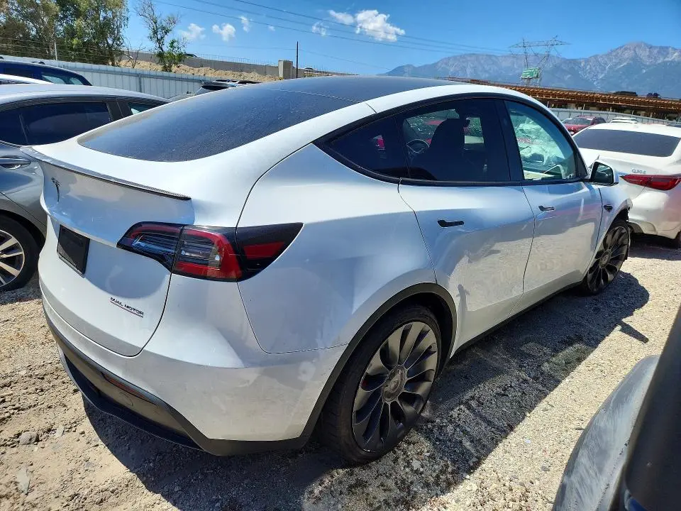 2023 TESLA MODEL Y   