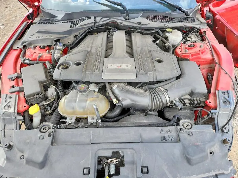 2019 FORD MUSTANG GT  