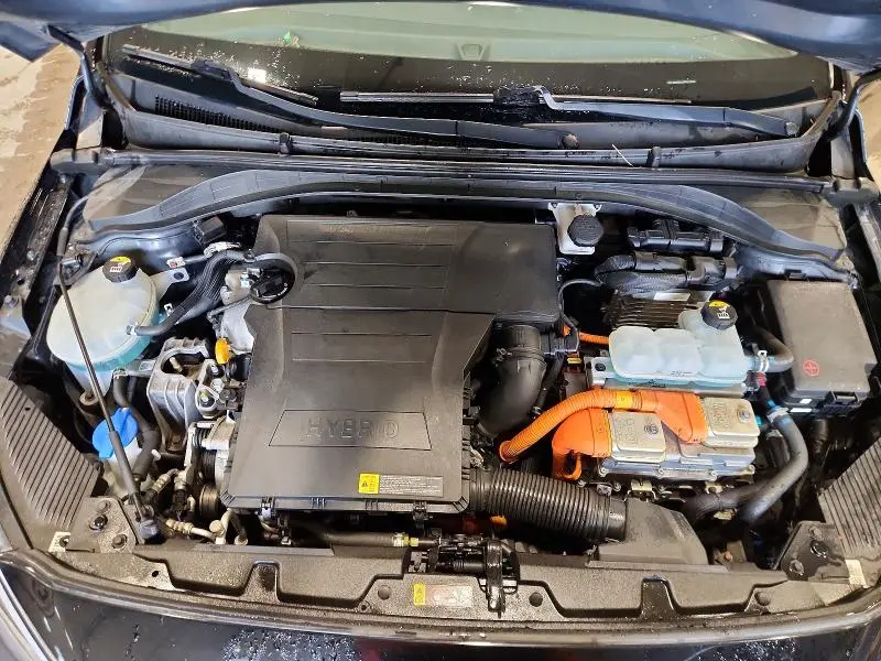 2019 HYUNDAI IONIQ BLUE  