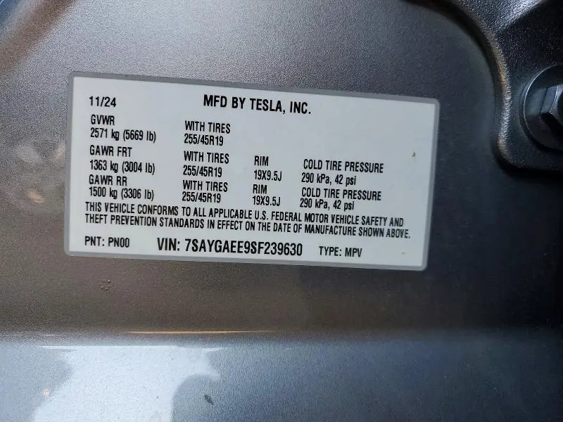 2025 TESLA MODEL Y   