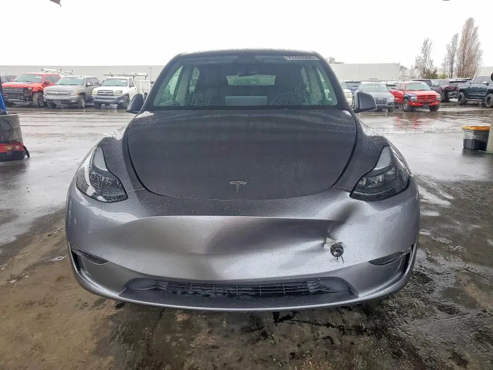 2025 TESLA MODEL Y   