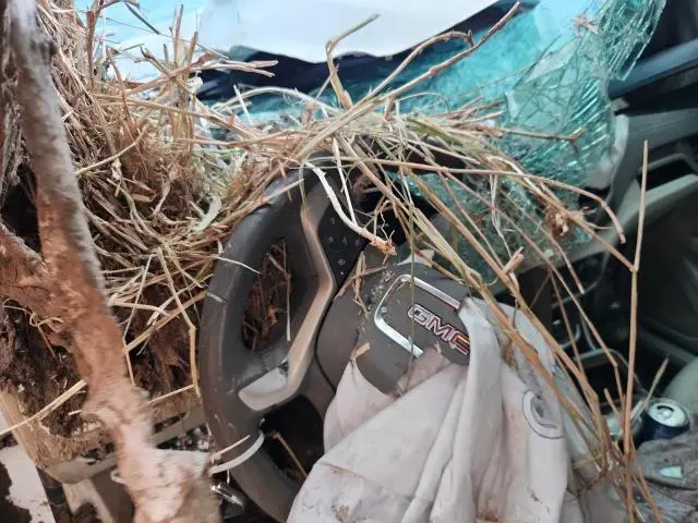 2020 GMC TERRAIN DENALI  