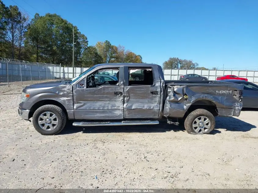 2014 FORD F-150 XLT