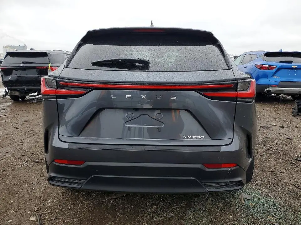 2024 LEXUS NX   