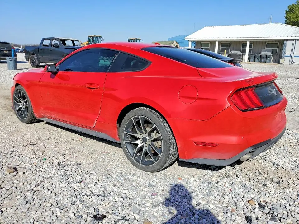 2019 FORD MUSTANG   