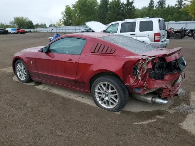 2014 FORD MUSTANG   