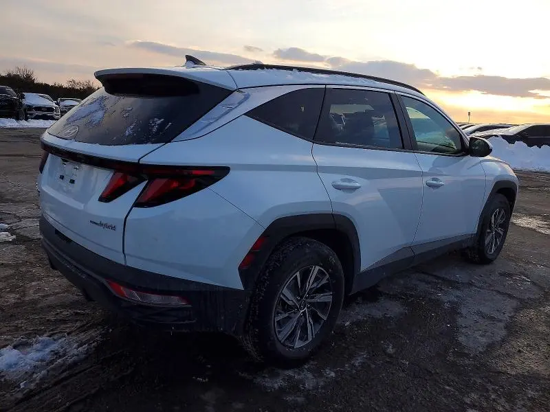 2024 HYUNDAI TUCSON BLUE  