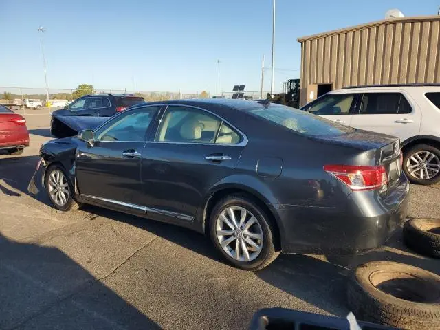 2010 LEXUS ES 350  