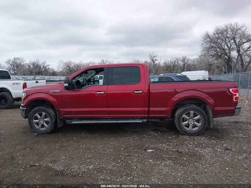 2019 FORD F-150 XLT