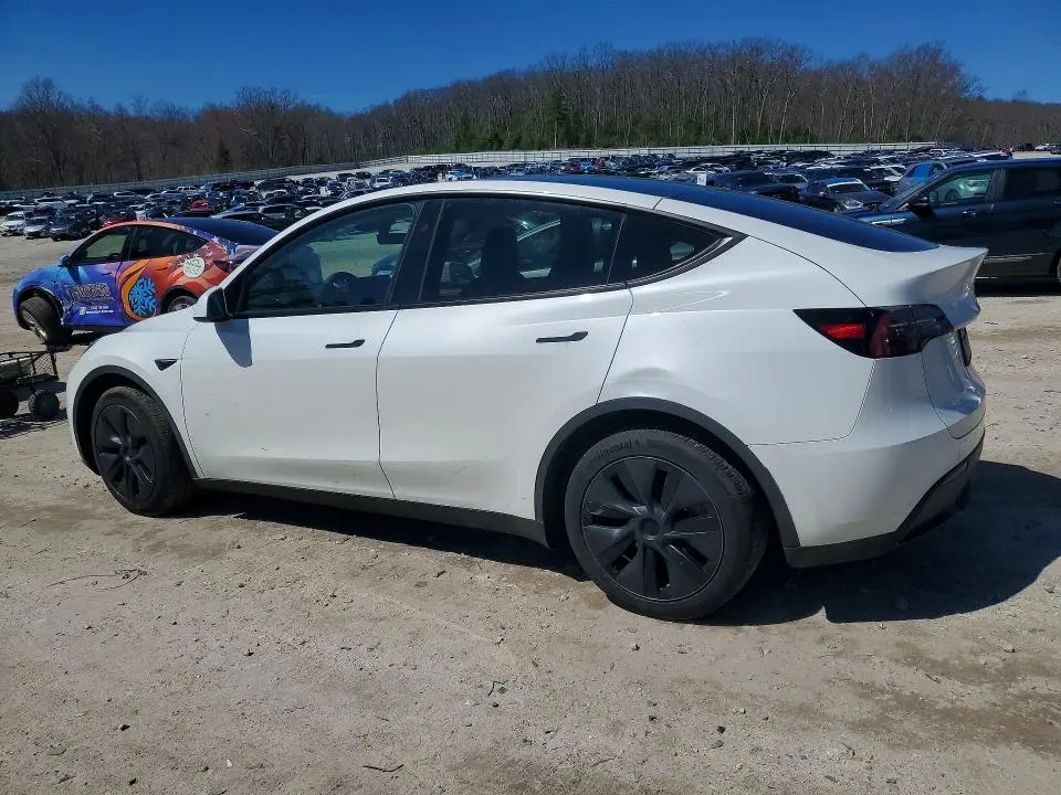 2024 TESLA MODEL Y   