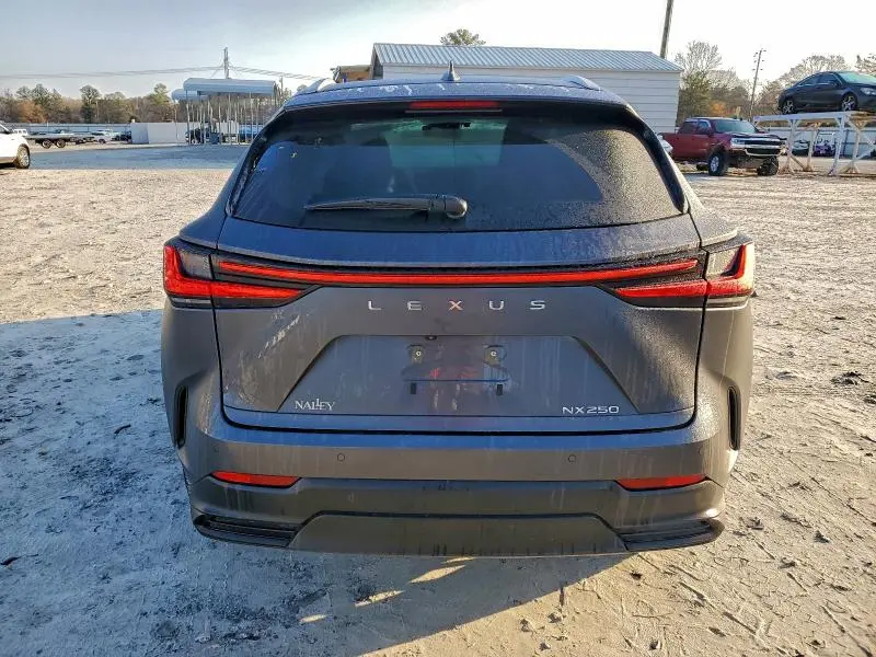 2025 LEXUS NX 250 BASE  