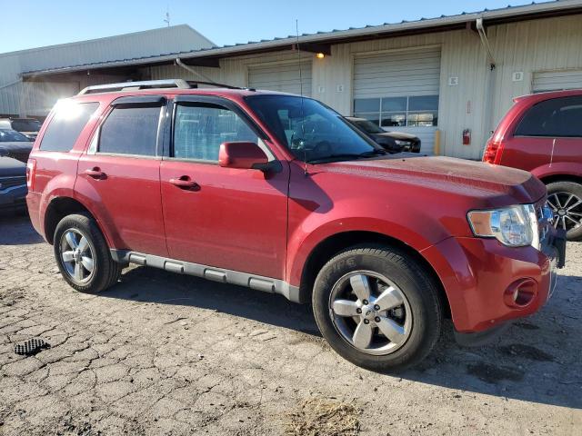 2010 FORD ESCAPE LIMITED