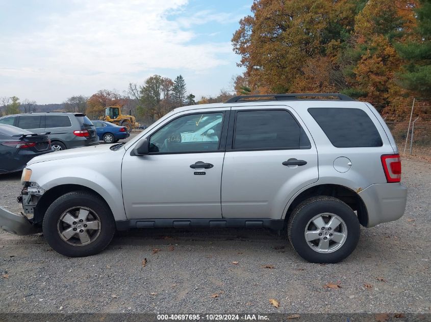 2010 FORD ESCAPE XLT