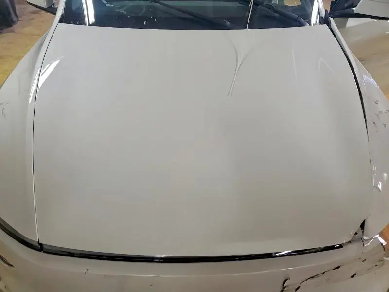 2026 TESL MODEL Y