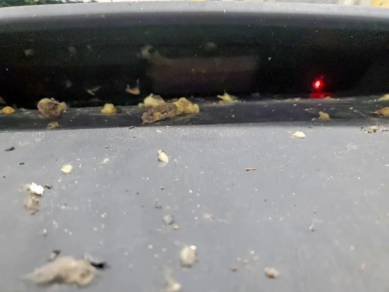 2014 TOYOTA PRIUS TWO  