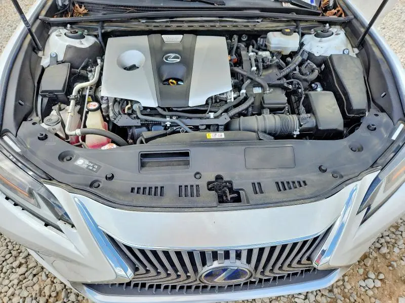 2019 LEXUS ES 300H ULTRA LUXURY  