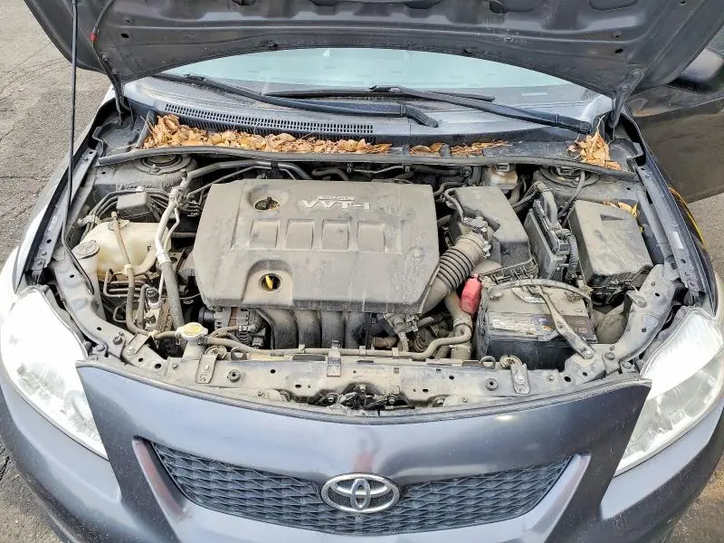 2010 TOYOTA COROLLA BASE  