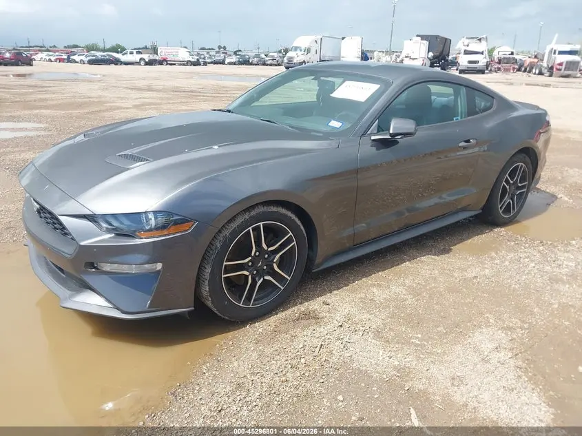 2019 FORD MUSTANG ECOBOOST