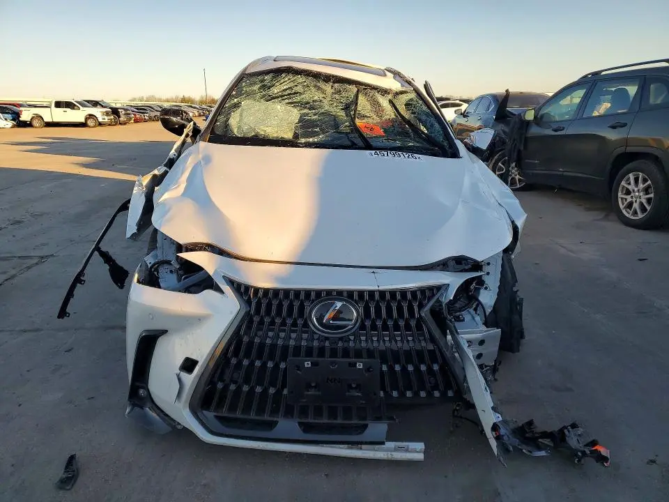 2025 LEXUS NX 350H PREMIUM  