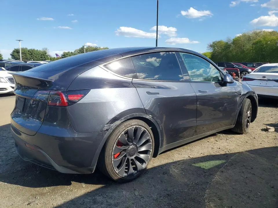 2025 TESLA MODEL Y   