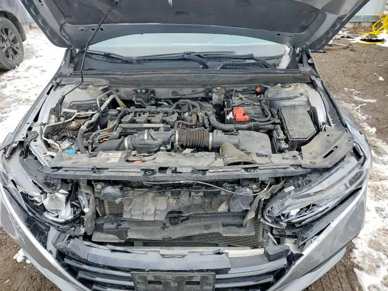 2019 HONDA ACCORD LX  