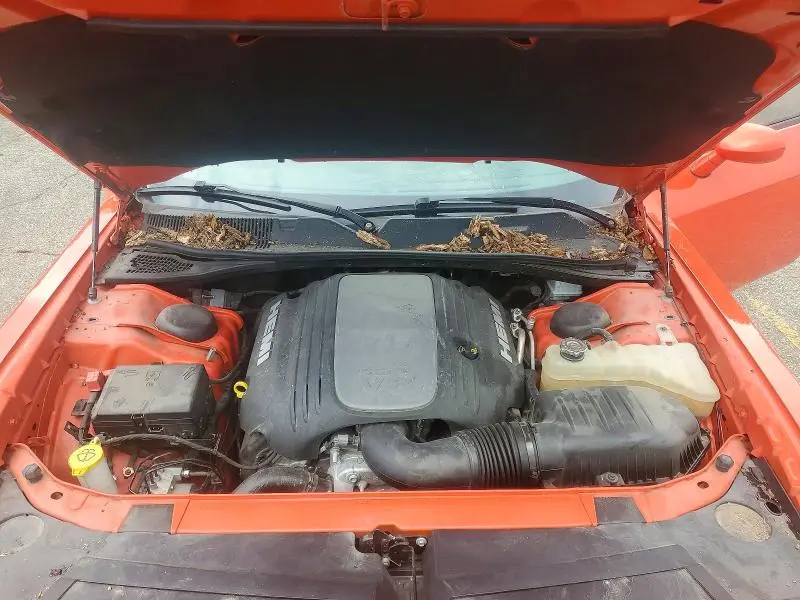 2019 DODGE CHALLENGER R/T  