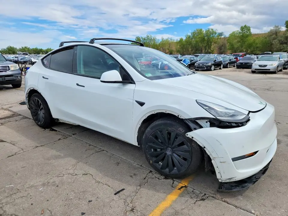 2020 TESLA MODEL Y   