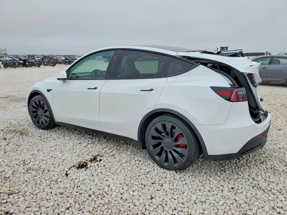 2024 TESLA MODEL Y   