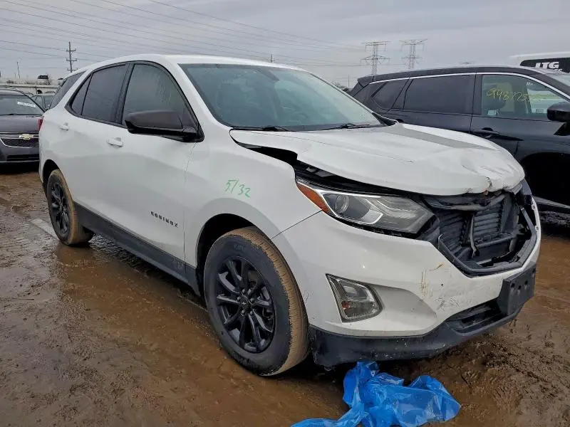 2019 CHEVROLET EQUINOX LS  