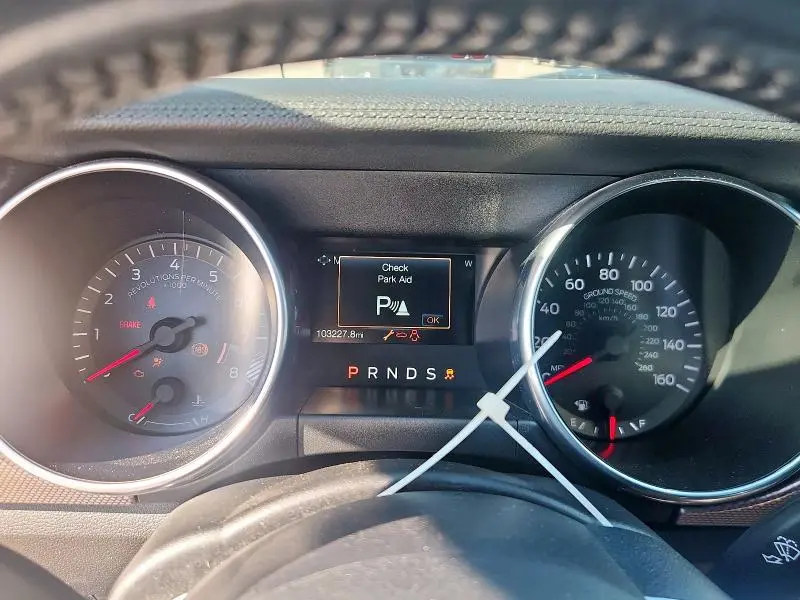 2019 FORD MUSTANG GT  