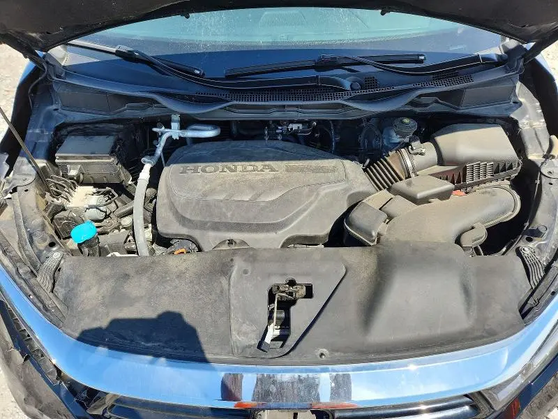 2024 HONDA ODYSSEY EXL  