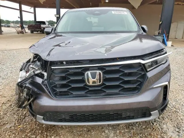 2024 HONDA PILOT EXL  