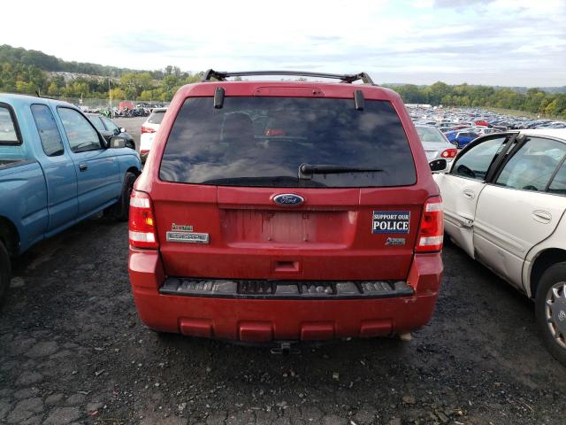 2010 FORD ESCAPE XLT