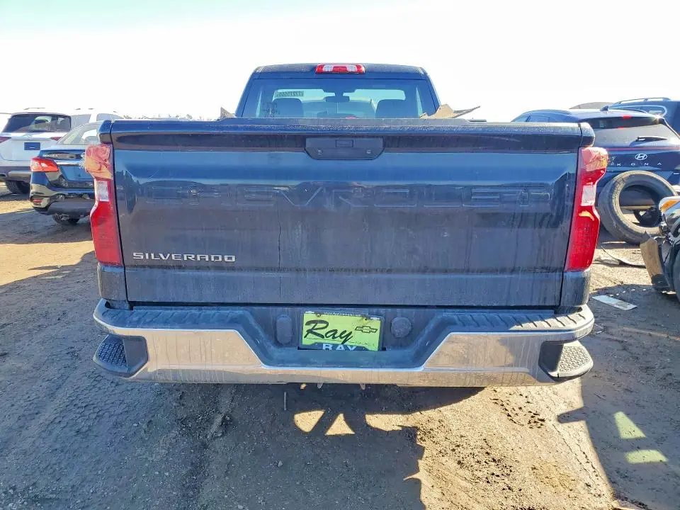 2019 CHEVROLET SILVERADO C1500  
