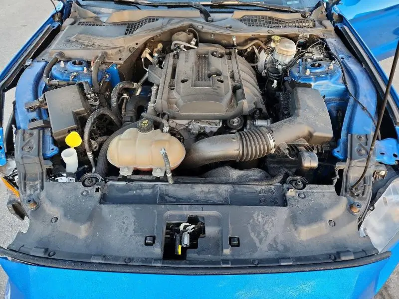 2019 FORD MUSTANG   