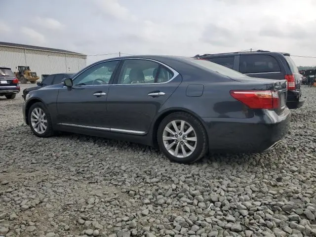 2010 LEXUS LS 460  