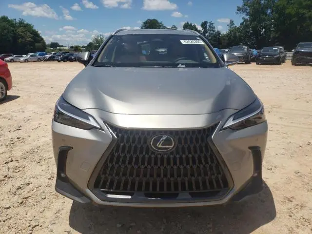 2024 LEXUS NX 250 PREMIUM  