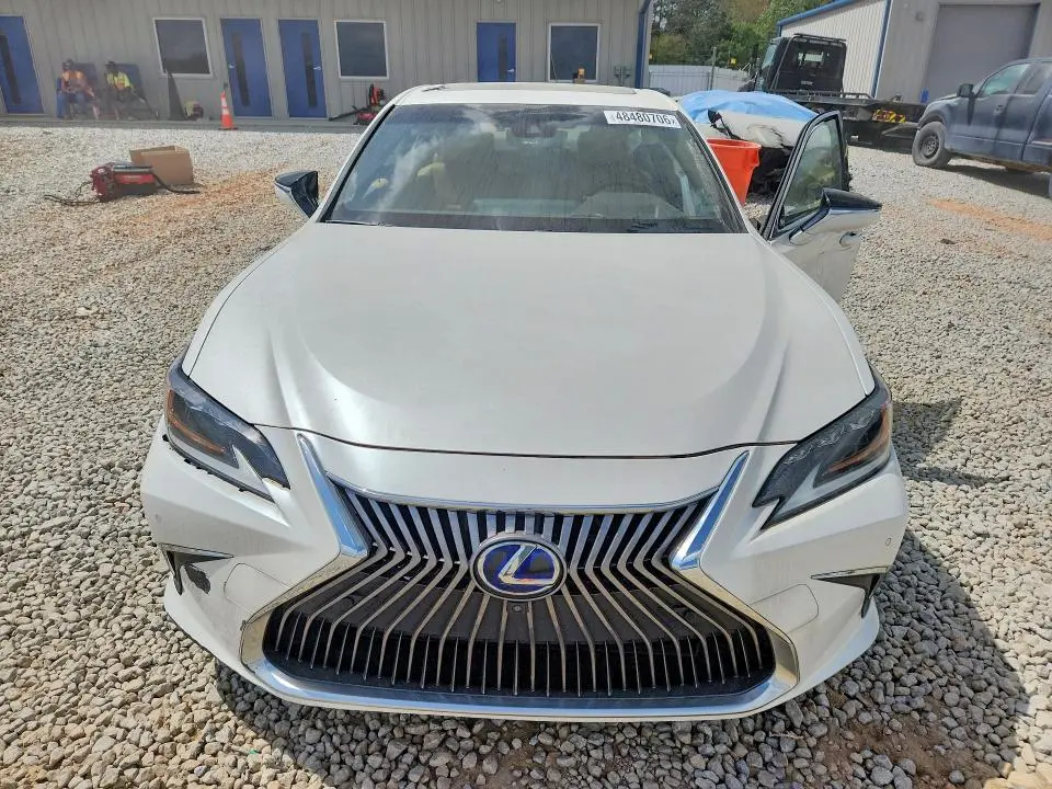 2019 LEXUS ES 300H ULTRA LUXURY  