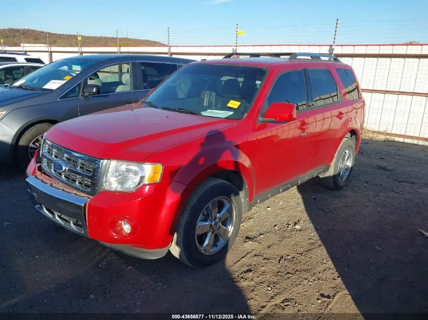 2010 FORD ESCAPE LIMITED
