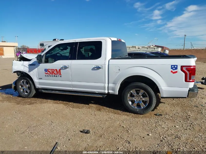 2015 FORD F-150 XLT