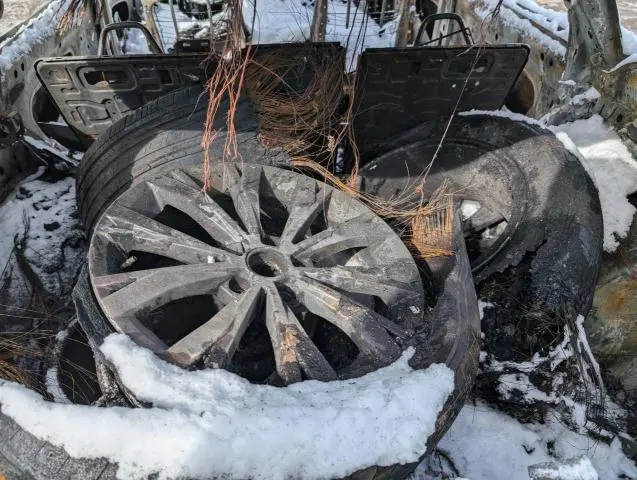 2021 VOLKSWAGEN TIGUAN S  