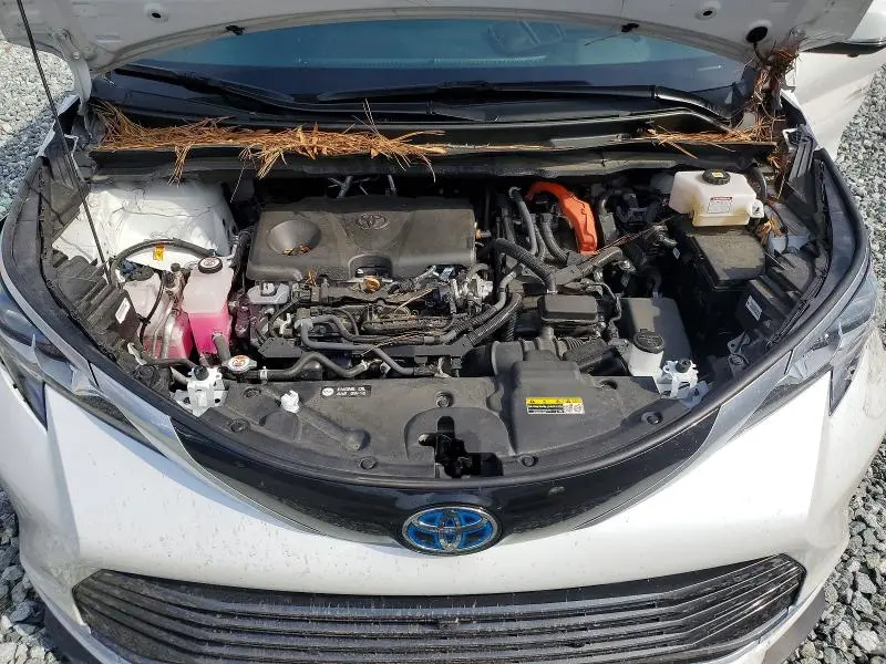2025 TOYOTA SIENNA   