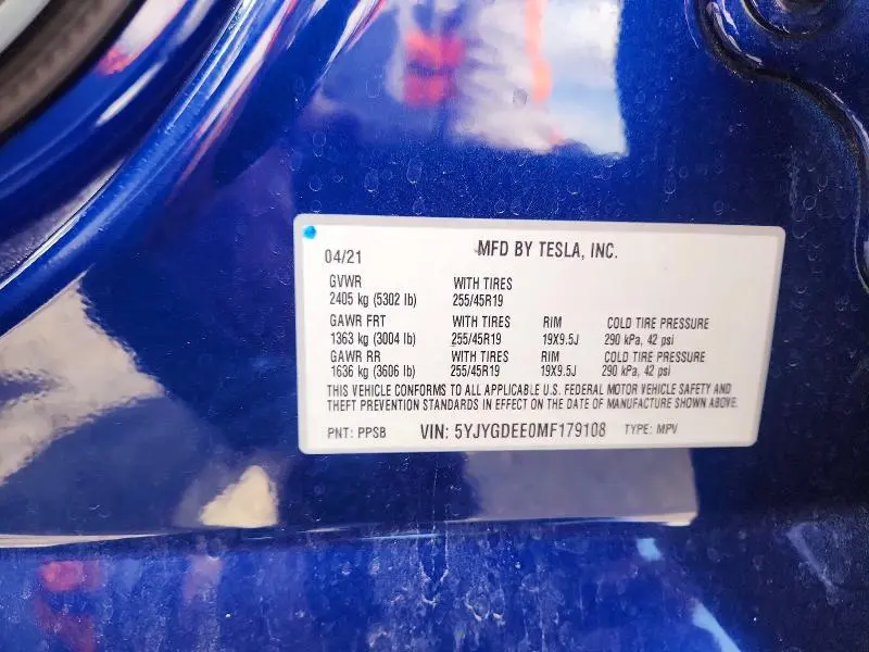 2021 TESLA MODEL Y   