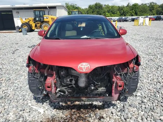 2010 TOYOTA VENZA   
