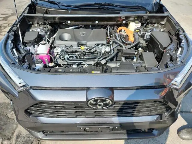 2025 TOYOTA RAV4 XLE  