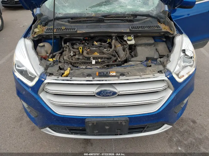 2019 FORD ESCAPE SEL