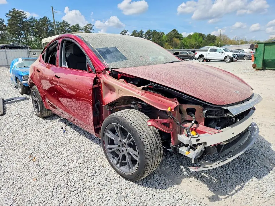 2025 TESLA MODEL Y   