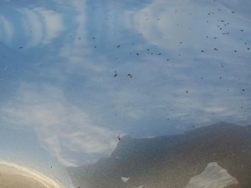 2022 CHEVROLET SILVERADO LTD C1500 LT  